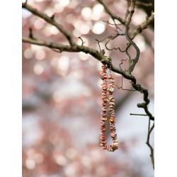 Halskde Coral Beach</br>Ls Beskrivelse