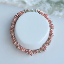 Halskde Coral Beach</br>Ls Beskrivelse