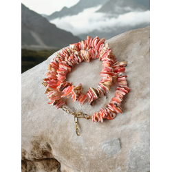 Halskde Coral Beach</br>Ls Beskrivelse